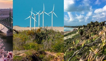 Triptych of landscapes in Hungary, Brazil, and Mexico