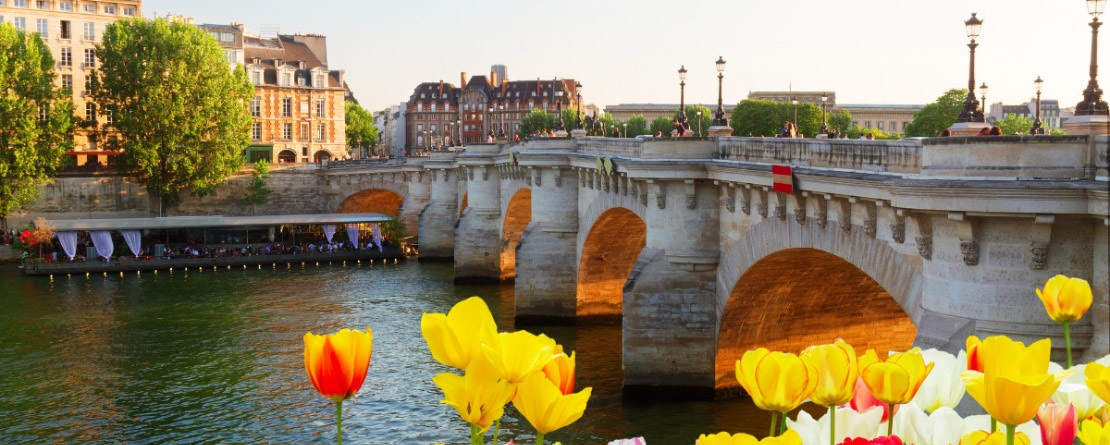 spring flowers in foreground overlook a river and european bridge