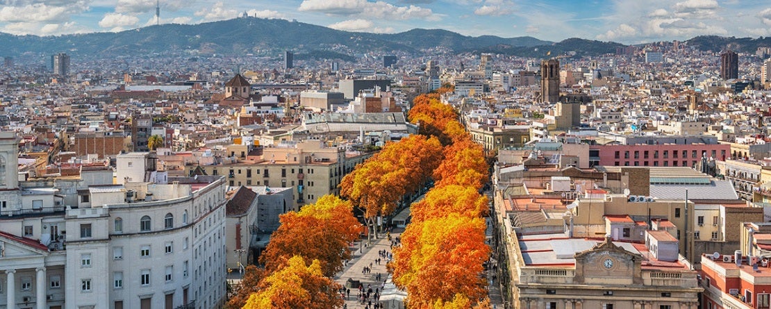 beautiful fall trees line a city street that stretches towards distant mountains with puffy clouds and blue skies