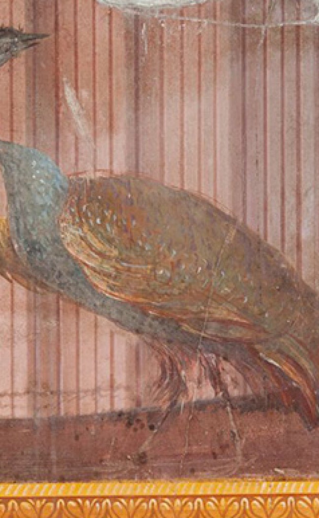 For more than 20 years, UT Austin art historian John R. Clarke and his former student Michael L. Thomas have led research at Oplontis, an ancient Roman site preserved beneath the ash of Mount Vesuvius. Their work is helping uncover the stories of the people who lived, worked and died there while giving students new ways to explore the ancient world. 