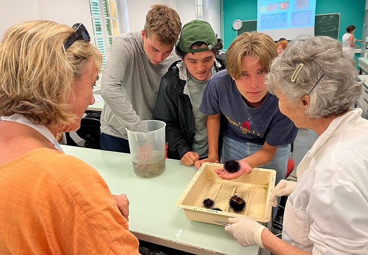 UT May Term students inspect sea urchins at IMEV in Nice, France