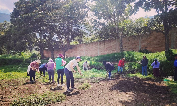 Volunteers in Ecuador prepare a garden for an equine therapy nonprofit