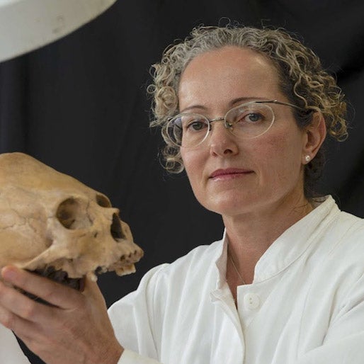 Vera Tiesler headshot