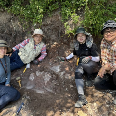 dinosaur researchers