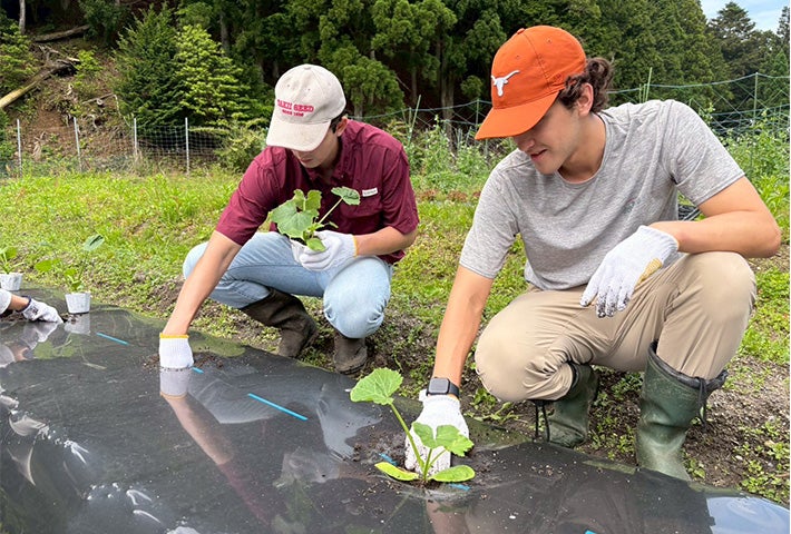 Vaca's year in Japan intertwined three interests — service, cross-cultural exchange and agriculture — and exhibited how locally-driven solutions can create lasting impact. His time there also clarified the type of impact Vaca hoped to make upon his return to campus and for the rest of his life.